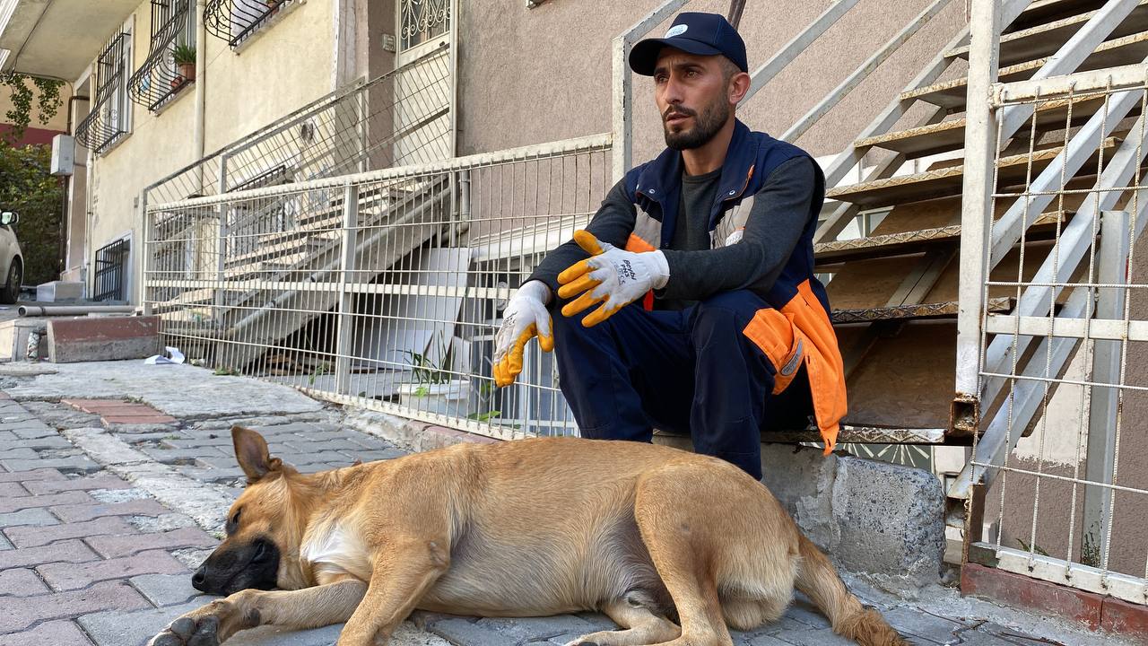 Sokak Köpeği İle Temizlik Görevlisinin Yürekleri Isıtan Dostluğu