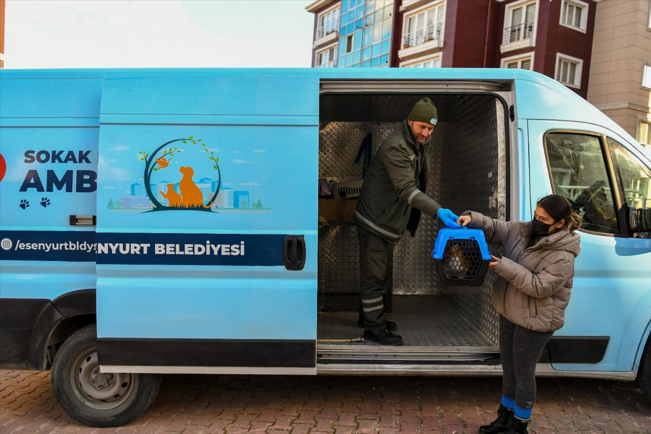 Esenyurt Belediyesi, ‘Sokak Hayvanları Ambulansı’ İle Can Dostlarımızın Hizmetinde 