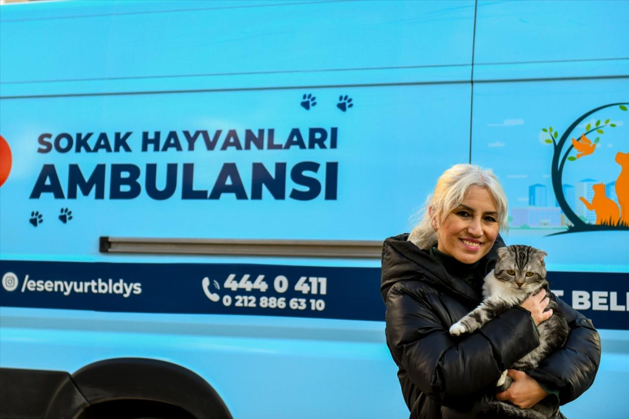 Esenyurt Belediyesi, ‘Sokak Hayvanları Ambulansı’ İle Can Dostlarımızın Hizmetinde 