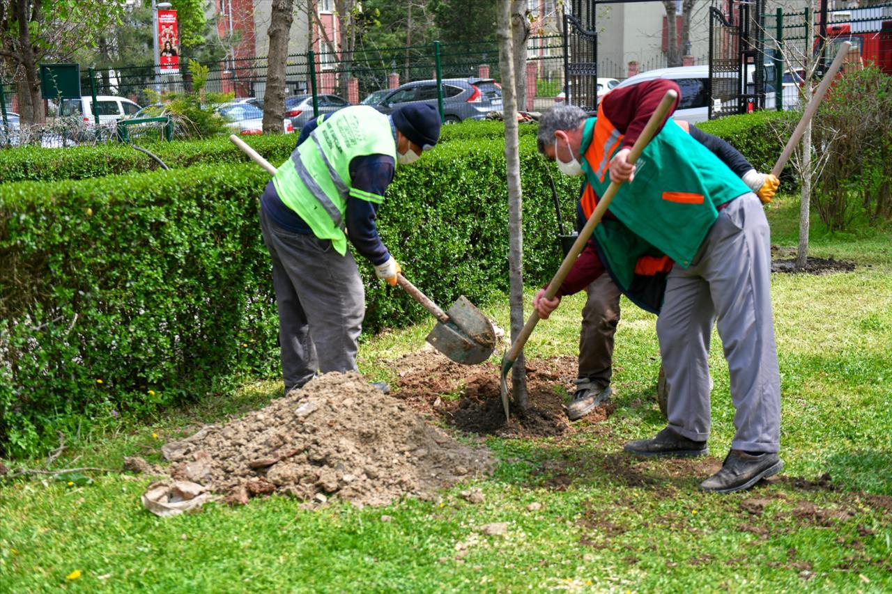 Esenyurt Belediyesi, Nisan Ayında Hizmetlerini Artırarak Devam Etti
