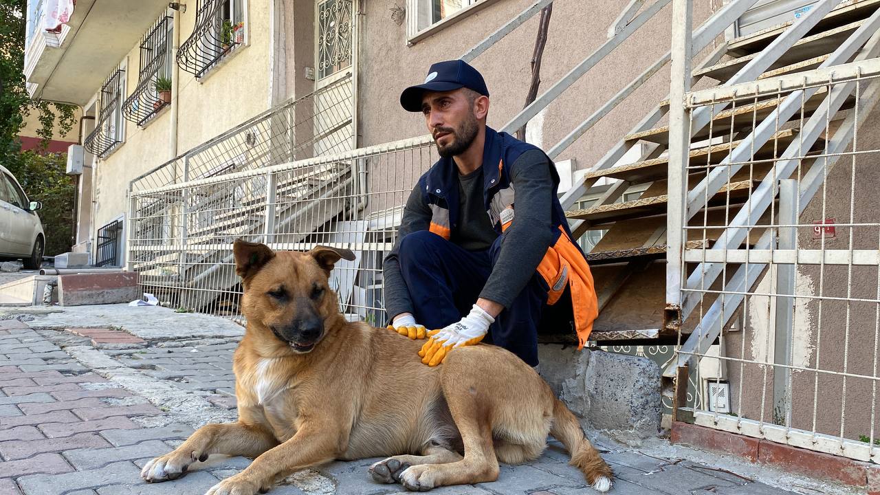 Sokak Köpeği İle Temizlik Görevlisinin Yürekleri Isıtan Dostluğu