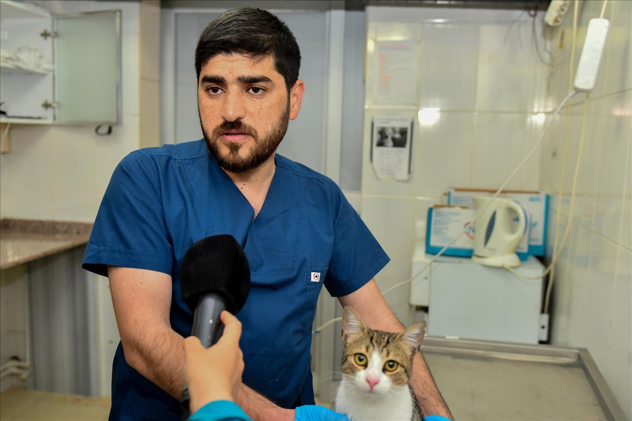 Ayağı Kırılan Kedi Ameliyatla Yeniden Sağlığına Kavuştu 