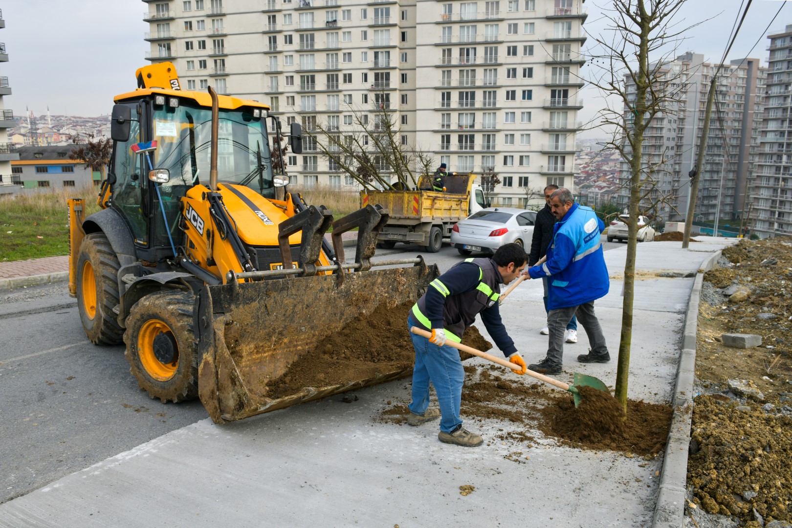 Esenyurt’un Sokakları Ağaçlarla Süsleniyor
